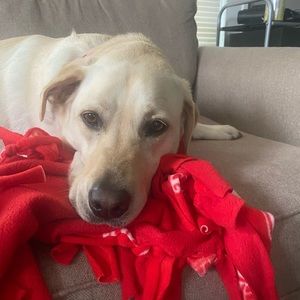 Meet your Posher, Kevin